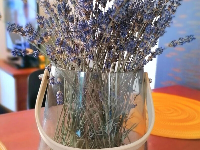 Pokoj 1