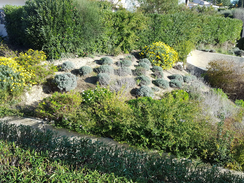 Pokoj 1