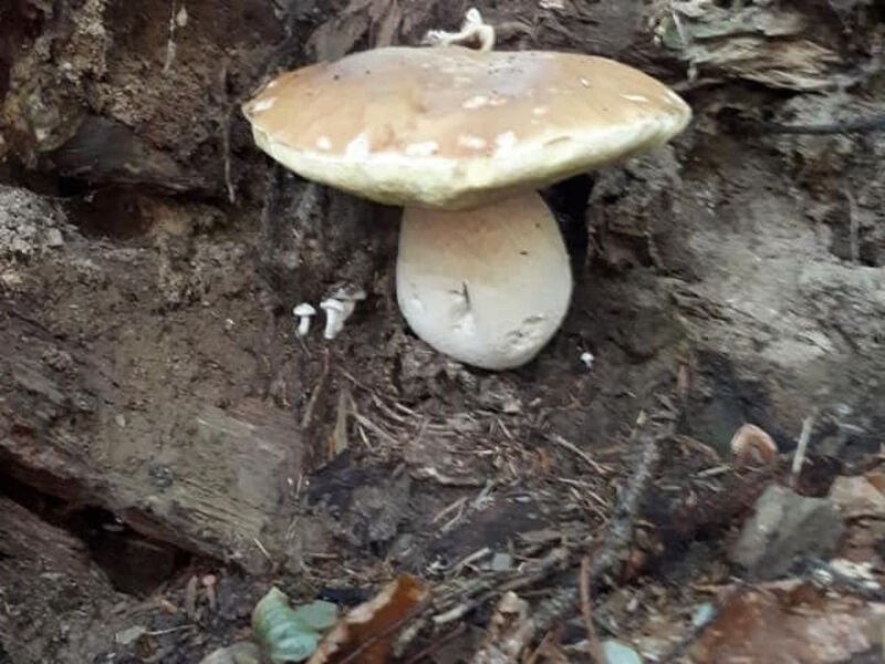 Pokoj 1