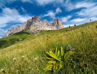 Alpy a Dolomity - ilustrační fotografie